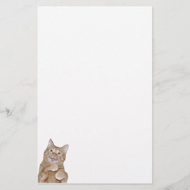 Happy cat stationery (Front)