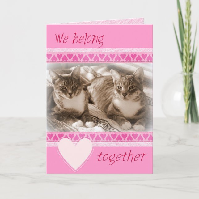 Happy Cats Valentine's Day Card (Front)