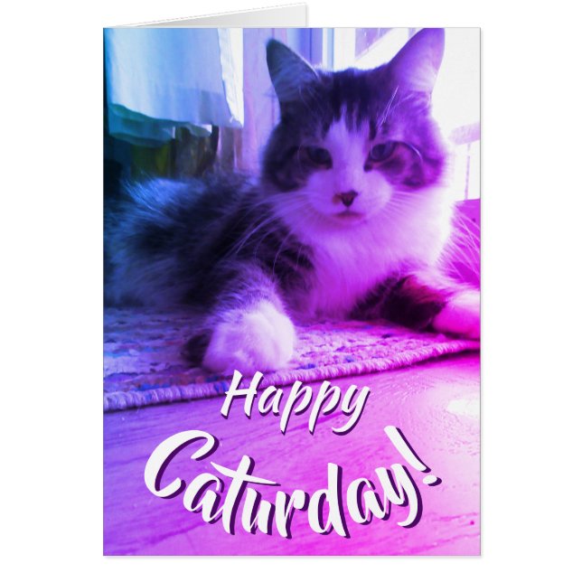 Happy Caturday Cute Purple Cat (Front)