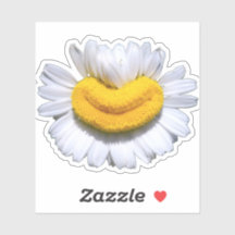 Happy Chamomile Smiles