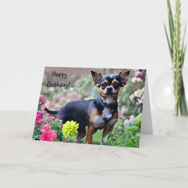 Happy Chihuahua Birthday Card (Front)