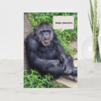Happy Chimpanzee Retirement