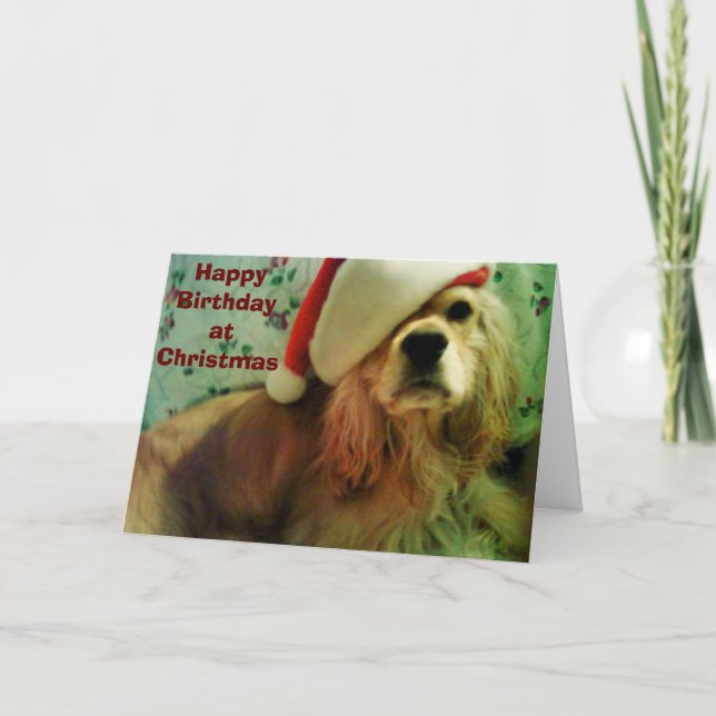 HAPPY "CHRISTMAS BIRTHDAY" TO YOU HOLIDAY CARD (Front)
