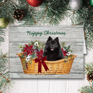 Happy Christmas Black Pomeranian Dog in Basket