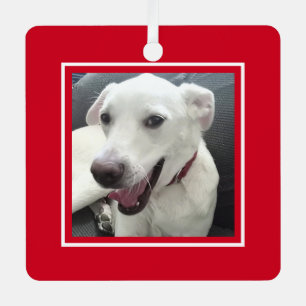 Happy Christmas Funny Smiling Dog Red Holiday Metal Ornament