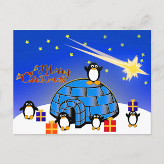 Happy Christmas Penguin Holiday Postcard