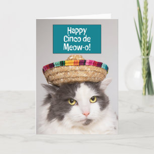 Happy Cinco De Mayo Funny Cat in Sombrero Humour  Holiday Card