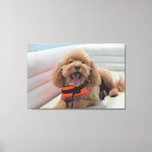 Happy Cockapoo Dog On Pontoon Boat Smiles Canvas Print
