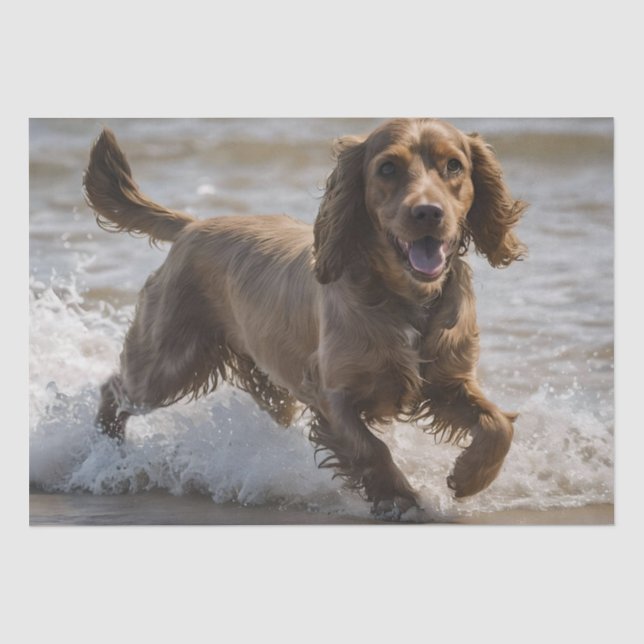Happy Cocker Spaniel Beach Fun Day,  Tissue Paper (Front)