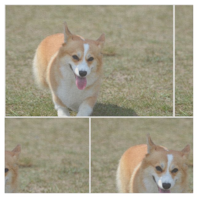 Happy Corgi Fabric (Close Up)