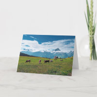 Happy Cows on the Farm in Switzerland