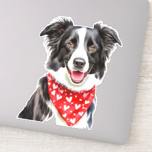 Happy Cute Border Collie with Red Heart Bandana