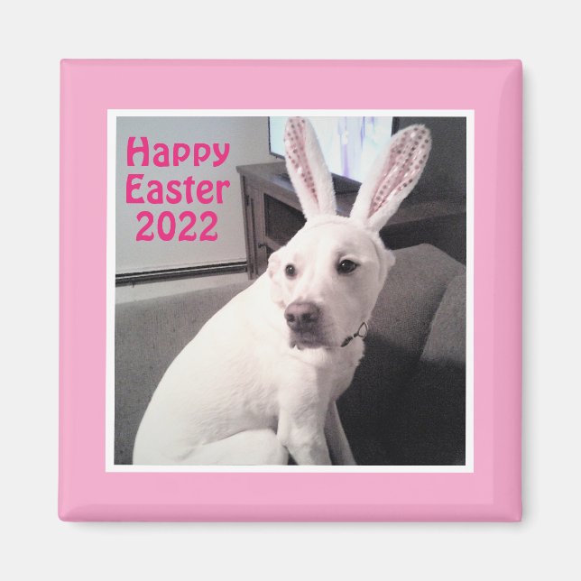 Happy Cute Puppy Dog With Easter Bunny Ears Pink Magnet (Front)