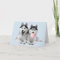 Happy Cute Siberian Huskies Bubble Gum