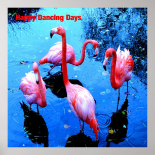 Happy Dancing Days Poster