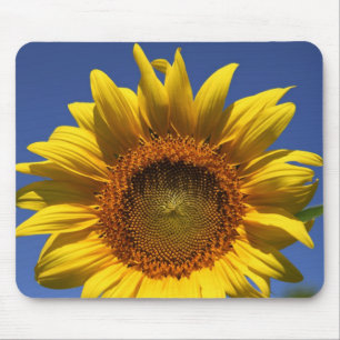 Happy day by the computer mouse pad
