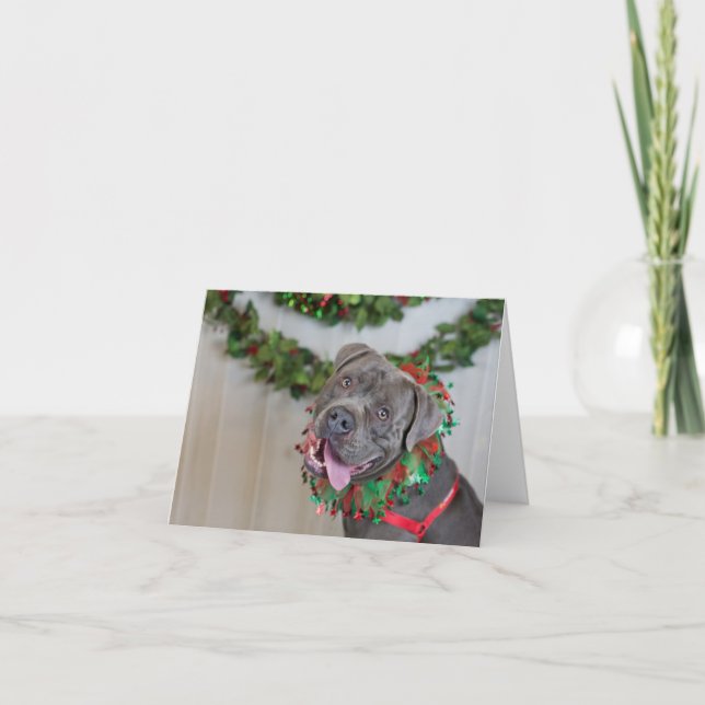 Happy Dog Christmas Card (Front)