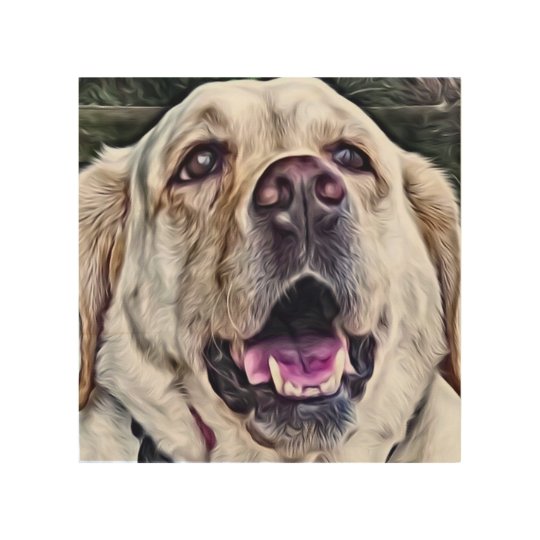 Happy Dog Face Wood Print