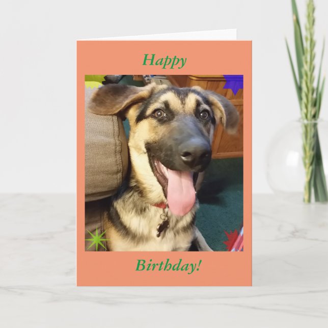 Happy Dog German Shepherd Birthday Card (Front)