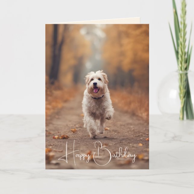 Happy Dog In Autumn Woods Card (Front)