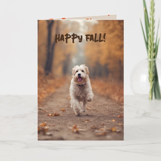 Happy Dog In Fall Woods Card (Front)