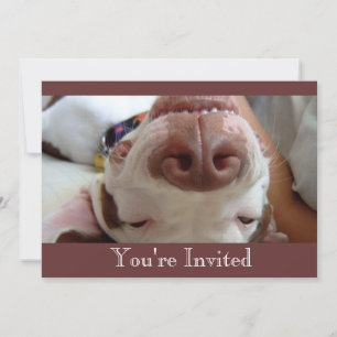 Happy Dog Invitation
