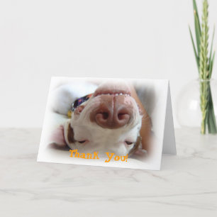 Happy Dog Merci
