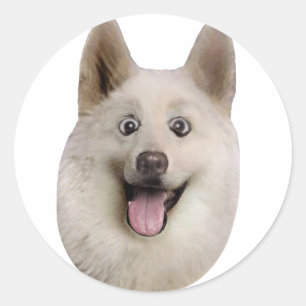 Happy_Dog_Mult_Products Classic Round Sticker