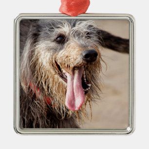Happy dog on a beach metal ornament