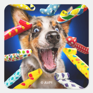 Happy Dog Party Blowers Square Sticker