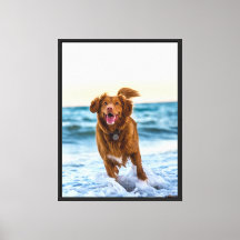 Happy Dog Playing by the Ocean Joyful Beach