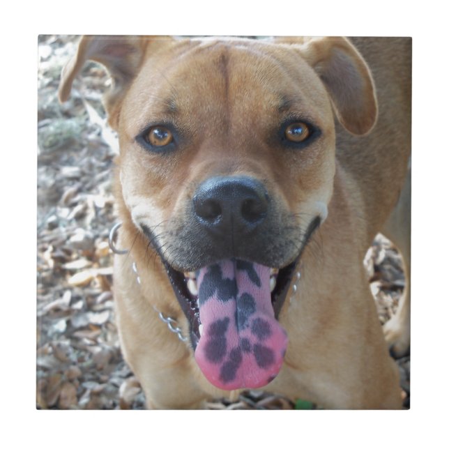 Happy Dog spotted tongue Tile (Front)