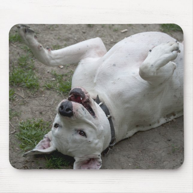 Happy Dogo Argentino Girl Mouse Pad (Front)