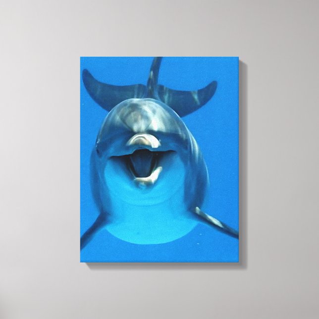 Happy Dolphin Canvas Print (Front)