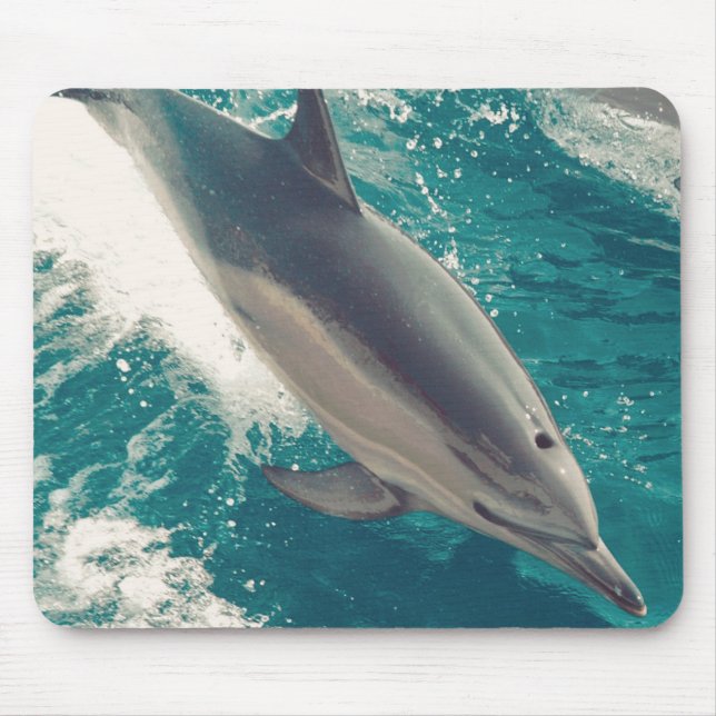 Happy Dolphin Mouse Pad (Front)