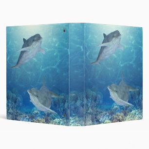 happy dolphins binder