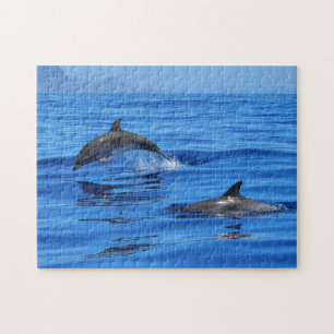 Happy Dolphins Jigsaw Puzzle