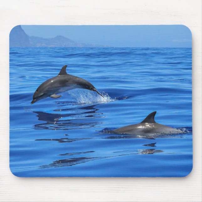 Happy Dolphins Mouse Pad (Front)