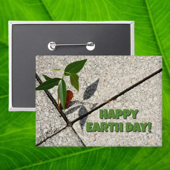 Happy Earth Day Maple Tree Seedling (Creator Uploaded)