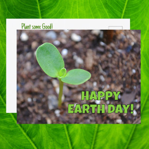 Happy Earth Day Seedling New Growth Photographic Postcard