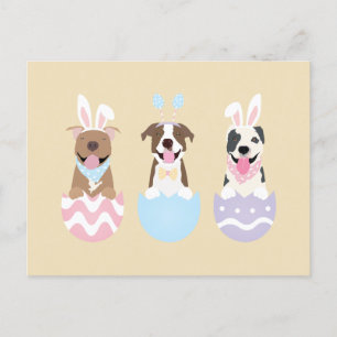 Happy Easter American Pit Bull Terrier Dogs Postcard