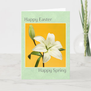 Happy Easter and Spring Beautiful White Lily Photo Holiday Card
