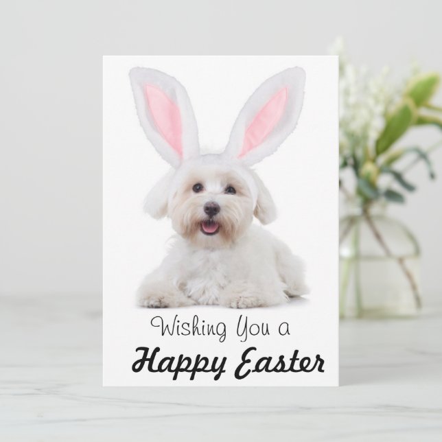 Happy Easter Anyone Dog Bunny Flat Holiday Card (Standing Front)