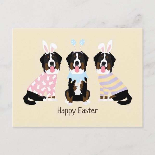Happy Easter Bernese Mountain Dogs Postcard (Front)