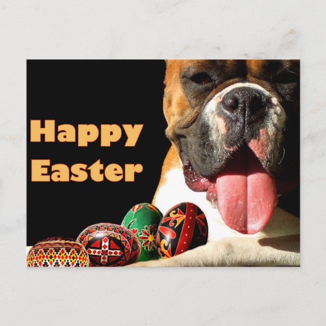 Happy Easter Boxer Dog postcard (Front)