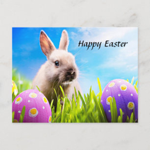 Happy Easter Bunny  Holiday Postcard