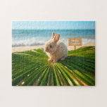 Happy Easter Bunny on Palm Branch on Beach Jigsaw Puzzle<br><div class="desc">Happy Easter from Florida! The design on this gorgeous tropical-themed jigsaw puzzle features a fluffy brown bunny sitting atop a large green palm leaf on a sandy beach. The soft blue hues of the ocean are in the background. The sign in the sand reads "Happy Easter." The jigsaw puzzle is...</div>