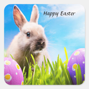 Happy Easter Bunny    Square Sticker