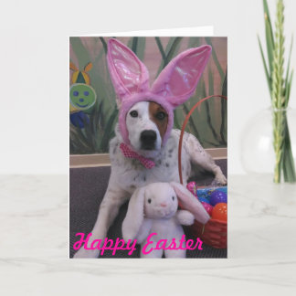 Happy Easter Bunny Up for Easter Luna Says Card