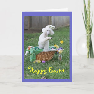 Happy Easter card from Winnie the Poodle